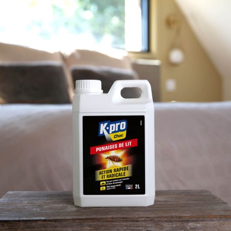 Bidon insecticide punaises de lit 2L