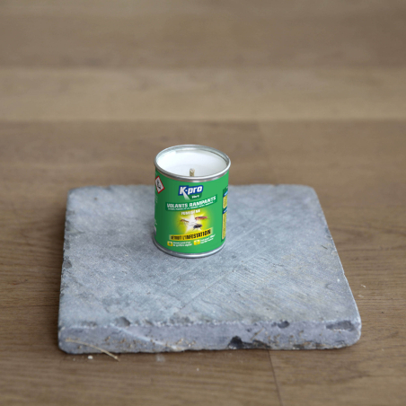Fumigène contre les insectes volants et rampants 50g