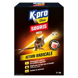 Pâtes souris