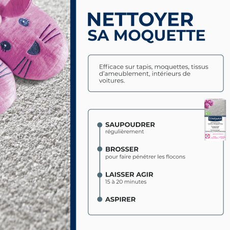 Nettoyant à sec pour tapis et moquettes