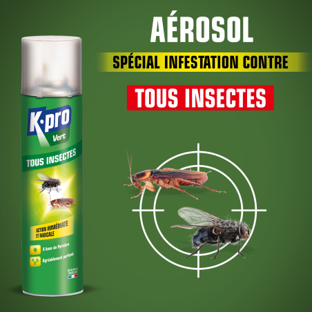 Aérosol tous insectes