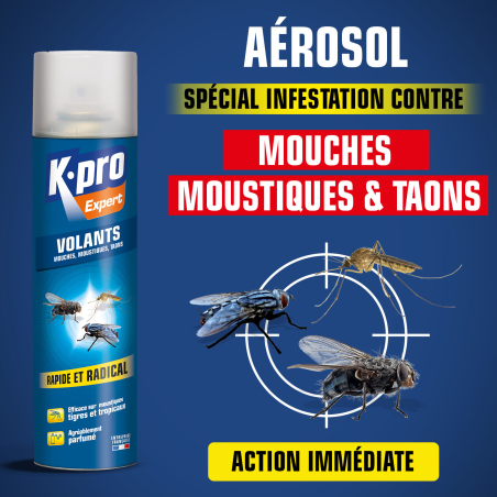 Aérosol insectes volants