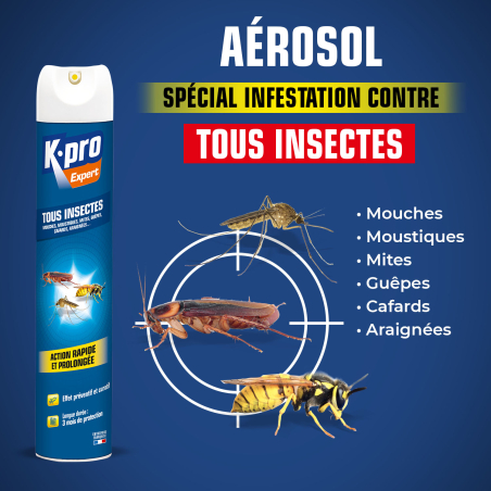 Aérosol tous insectes