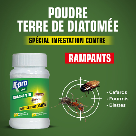 Terre de Diatomée