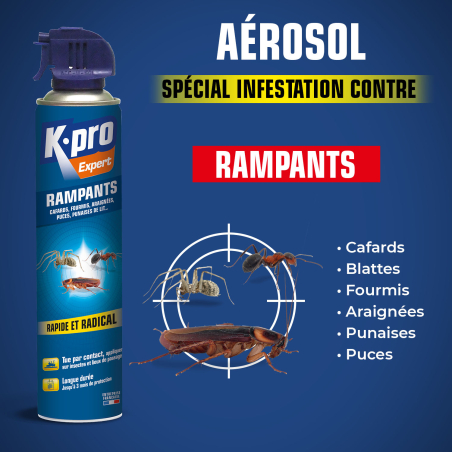 Aérosol tous insectes RAMPANTS