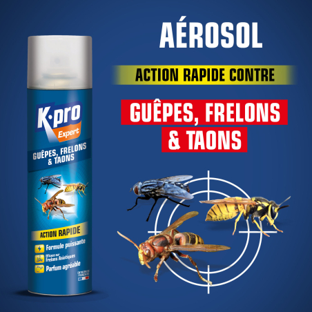 Aérosol contre guêpes et frelons