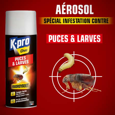 Aérosol foudroyant puces et larves