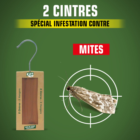 Cintres au bois de cèdre