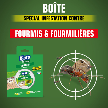 Boîte fourmis