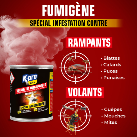 Fumigène spécial infestation tous insectes