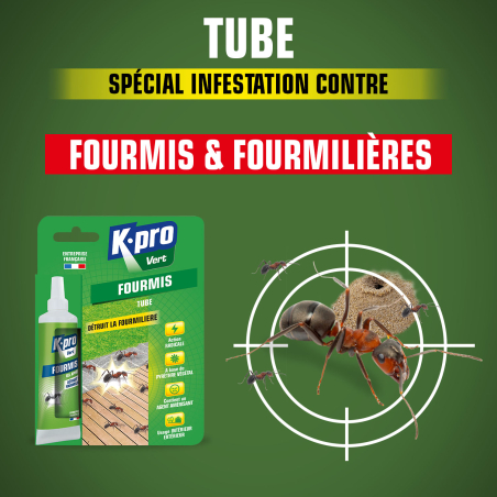 Tube fourmis