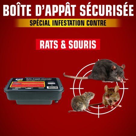 Boite appât sécurisée vide contre rats et souris