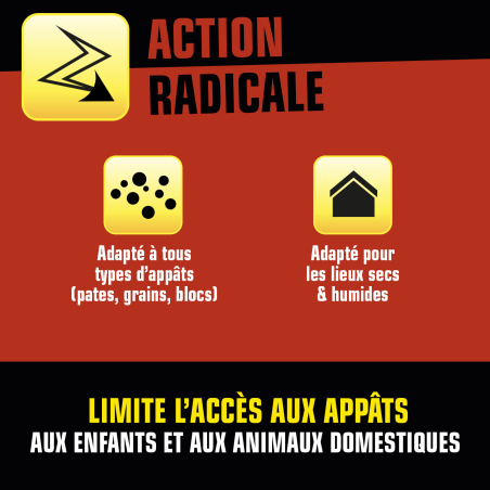 Boite appât sécurisée vide contre rats et souris