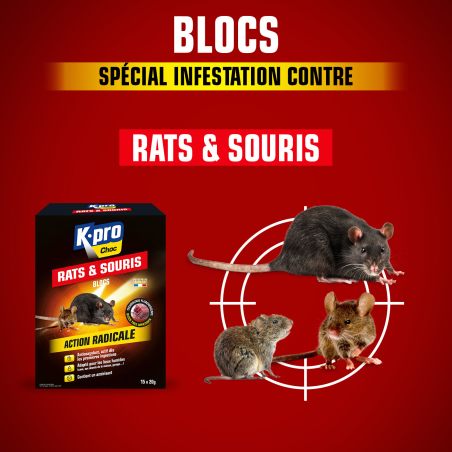 Blocs rats et souris