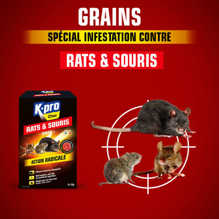 Grains rats et souris
