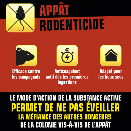 Grains rats et souris
