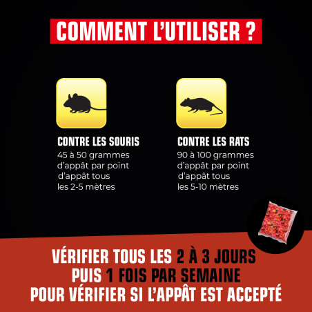 Grains rats et souris