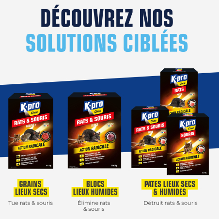 Grains rats et souris