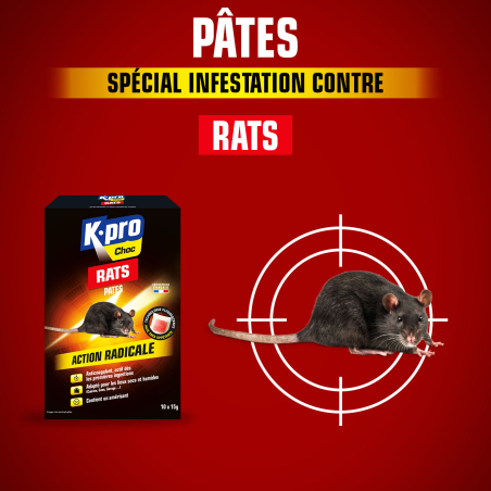 Pâtes rats