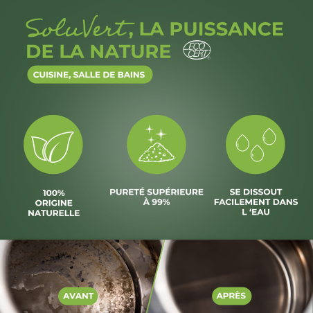 Acide citrique Ecocert