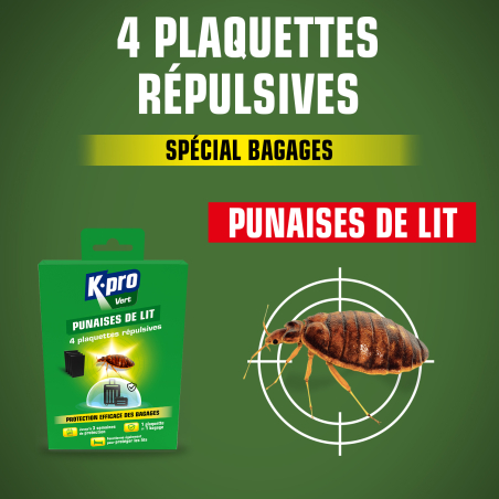 Plaquettes punaises de lit