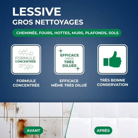 Lessive Gros Nettoyages Pin 1,4KG