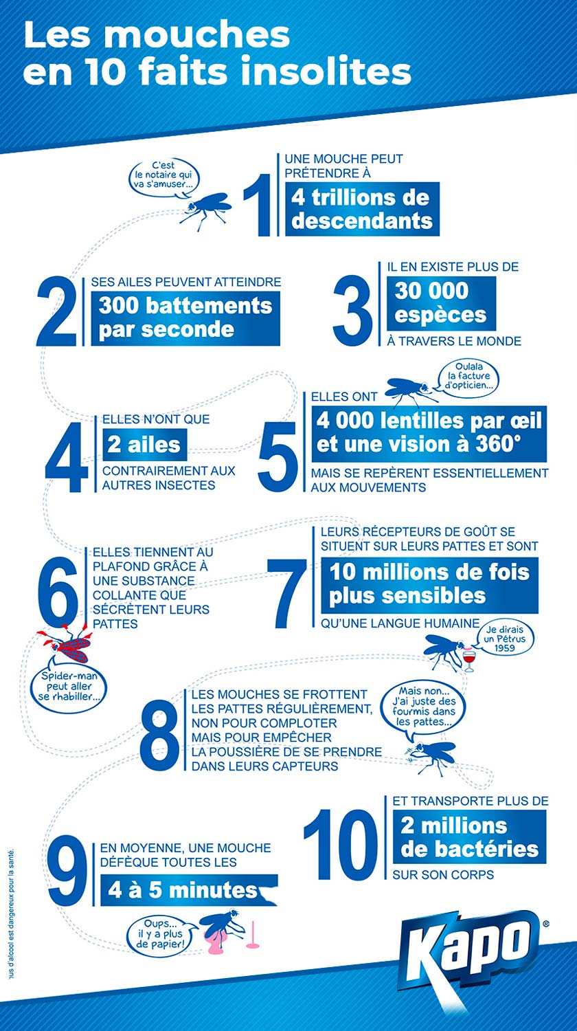 Infographie : 10 faits insolites sur les mouches