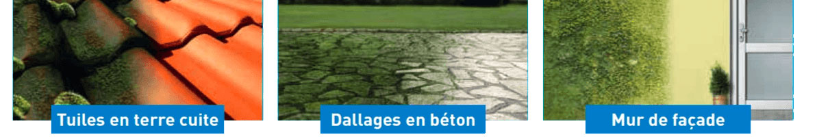 Le Destructeur de dépôts verts est efficace sur tuiles en terre cuite, dallages en béton, murs de façade...