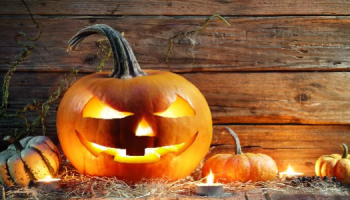 Tous les secrets pour une fête d'Halloween réussie !