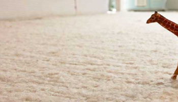 Moquette : comment la raviver ?