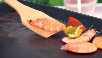 Comment nettoyer et dégraisser une plancha ?