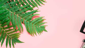 Vacances : quels produits emmener ?