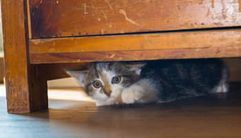 Comment réparer une commode ?