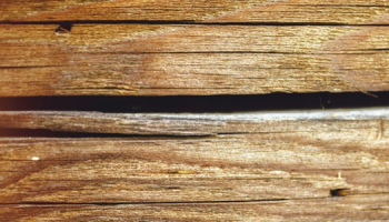 Comment reboucher une fissure dans le bois ?