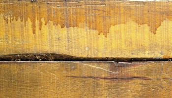 Comment consolider un bois humide ?